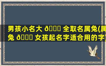男孩小名大 🐝 全取名属兔(属兔 🐋 女孩起名字适合用的字)
